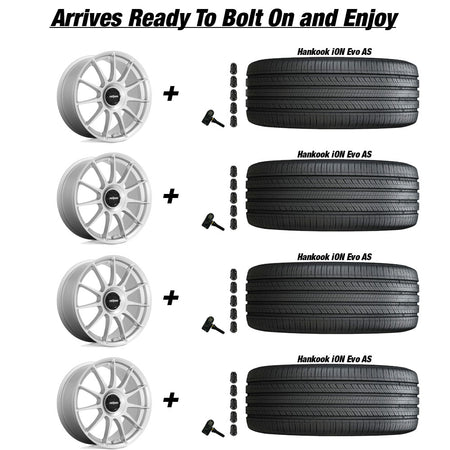 Tesla Model 3 Rotiform DTM Silver 20 wheel and Hankook iON Evo AS tire package