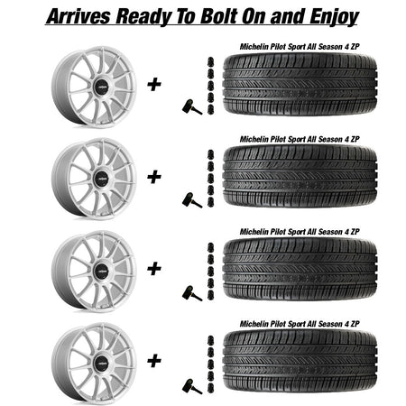 Tesla Model 3 Rotiform DTM Silver 20 wheel and Michelin Pilot Sport All Season 4 tire package